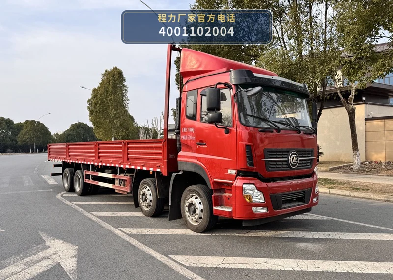 CL1310LDS6TX型程力牌载货汽车 整车主图