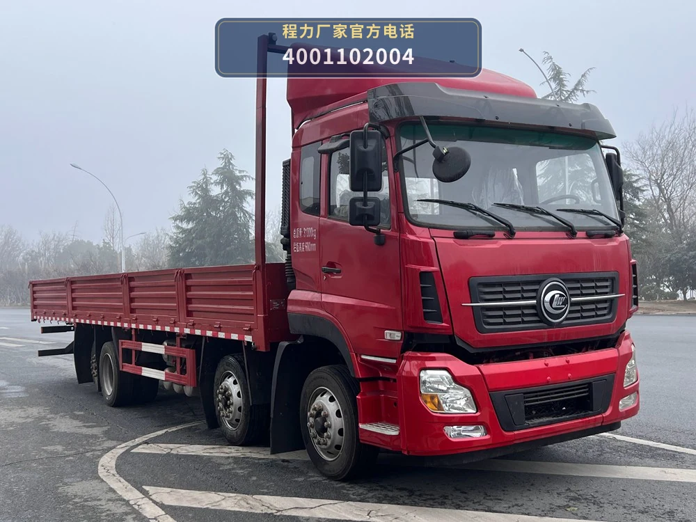 CL1312LDS6TX型程力牌载货汽车 整车主图